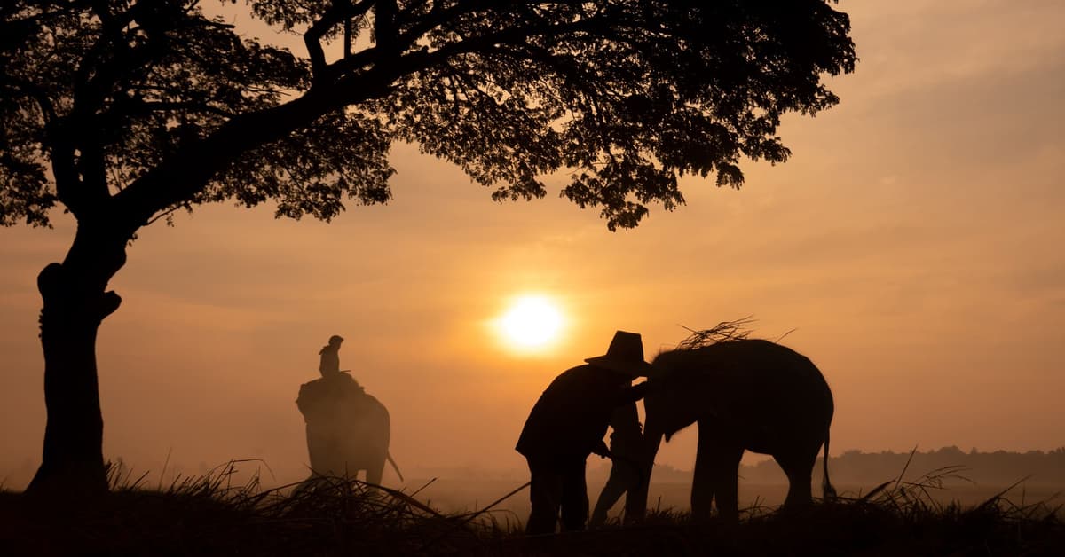 មានចិត្តសប្បុរសហូរហៀរ (សៀវភៅសេចក្ដីពិតសម្រាប់ជីវិត)