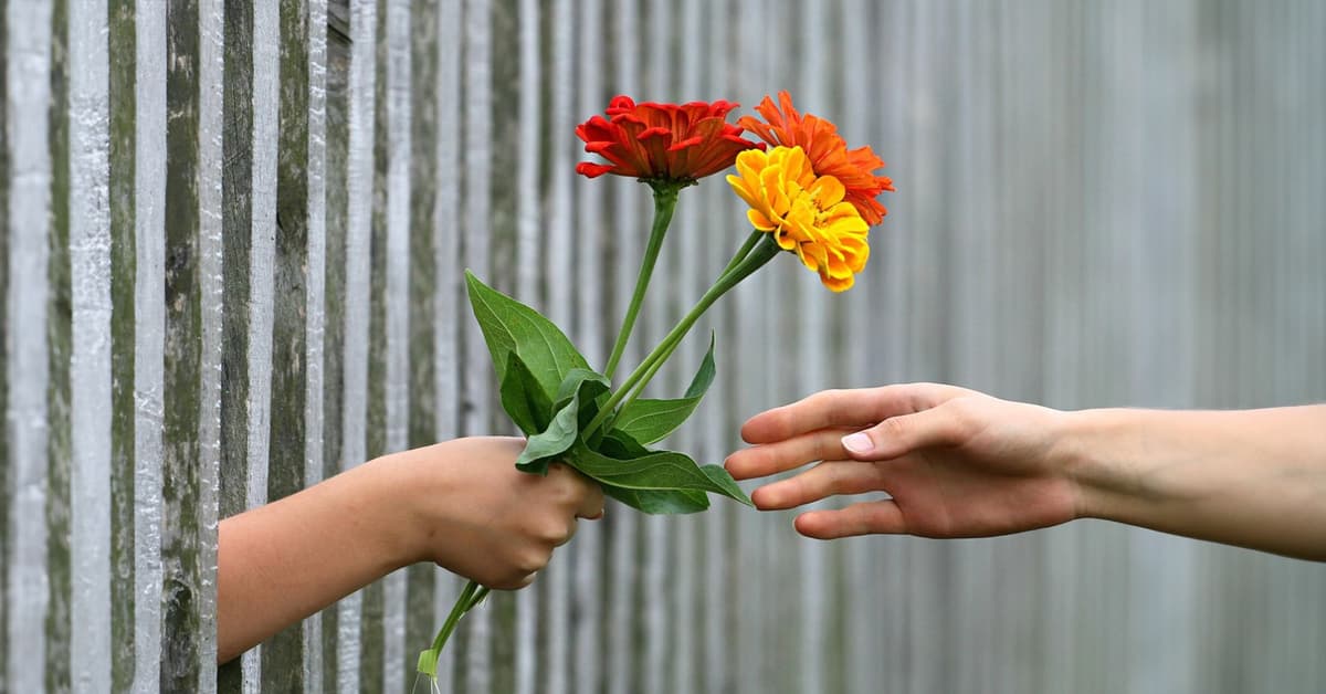 មានក្តីស្រឡាញ់ពិតប្រាកដ