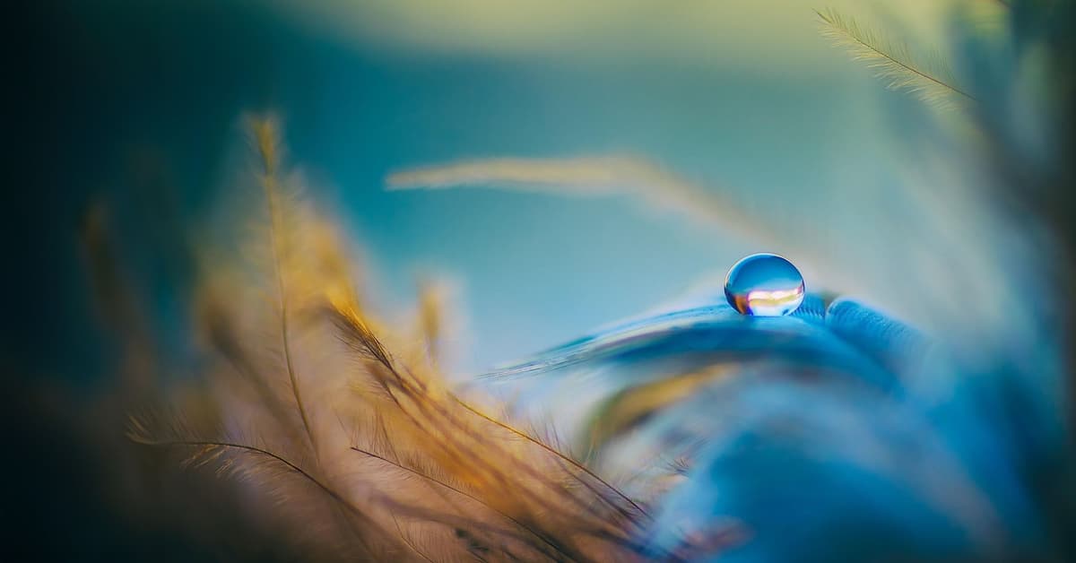 ផ្លូវនៃសន្តិភាព