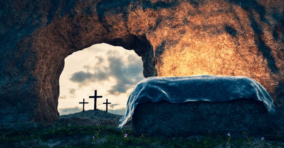 ចាកចេញពីការលាក់បាំង