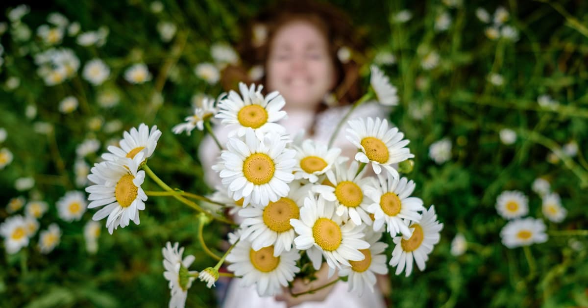 ចូរអរសប្បាយជានិច្ច (សៀវភៅសេចក្ដីពិតសម្រាប់ជីវិត)