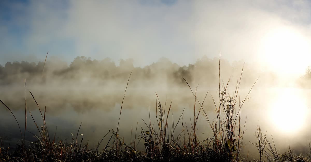 ភាពពិការខាងវិញ្ញាណ