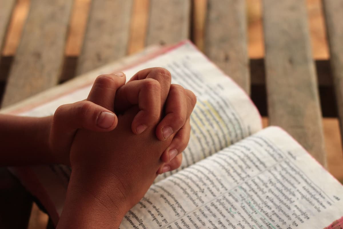 តើការបើកបររបស់ខ្ញុំដូចម្តេចដែរ?