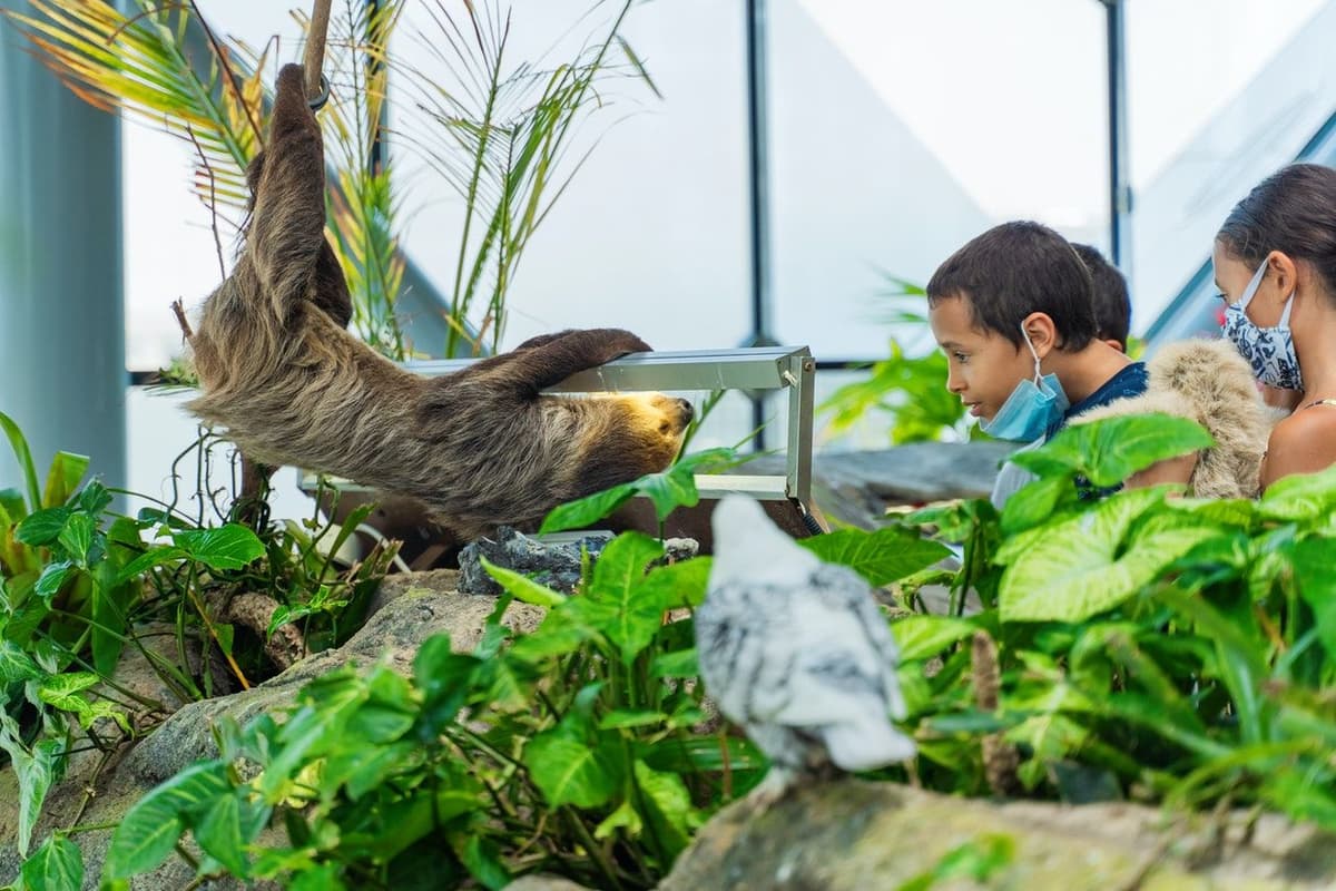 ពង្រឹងសាច់ដុំនៃសេចក្តីជំនឿ