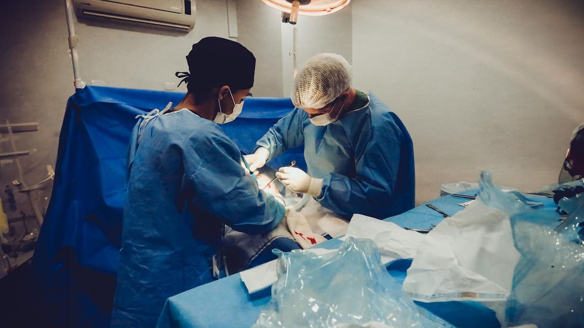 ការបង្រៀនដ៏រំភើបរីករាយ