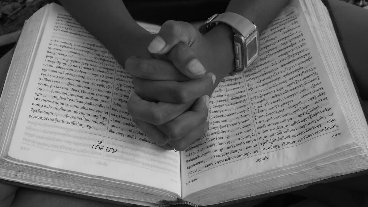 សេចក្តីស្រឡាញ់ដែលមានការអត់ទោស