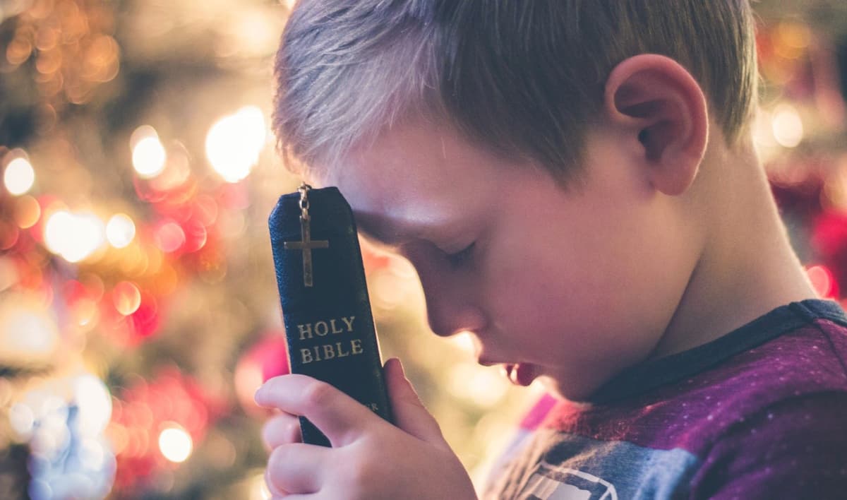 ព្រះអង្គកែប្រែផេះឲ្យក្លាយជាភួងលម្អ