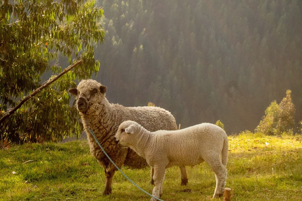 ព្រះទ្រង់ហៅឈ្មោះអ្នក