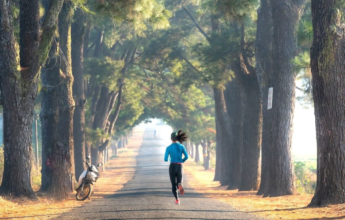 ព្រះអង្គដឹកនាំតាមផ្លូវដែលយើងមិនស្គាល់