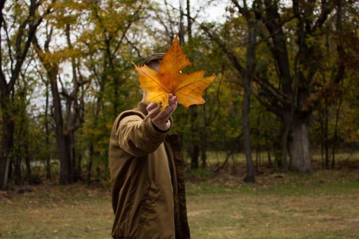 ធ្វើឲ្យរដូវកាល មានភាពស្រស់ថ្លាឡើង