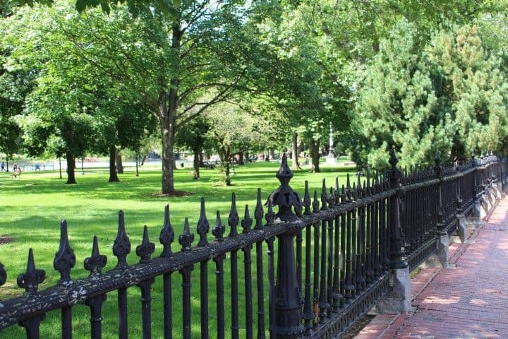 រើរបងរបស់អ្នកចេញ