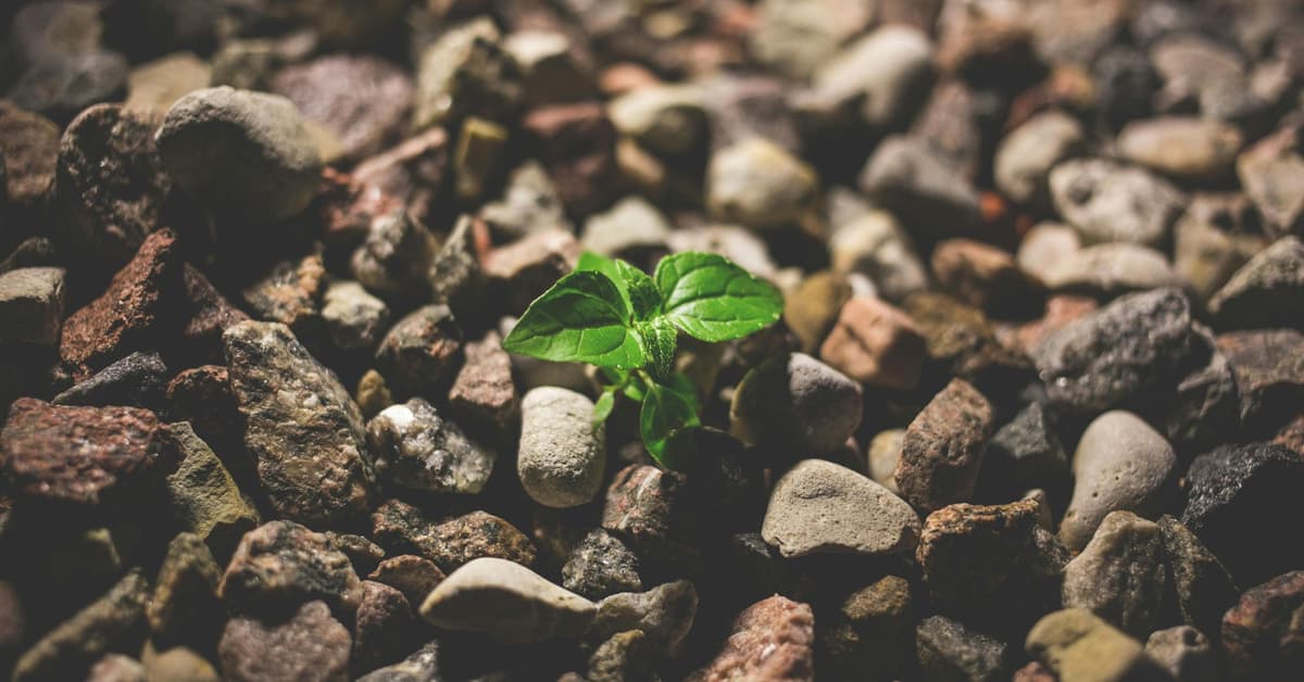 ជីវិតដែលបង្ហូរចេញទៅមនុស្សទាំងអស់ (សៀវភៅសេចក្ដីពិតសម្រាប់ជីវិត)