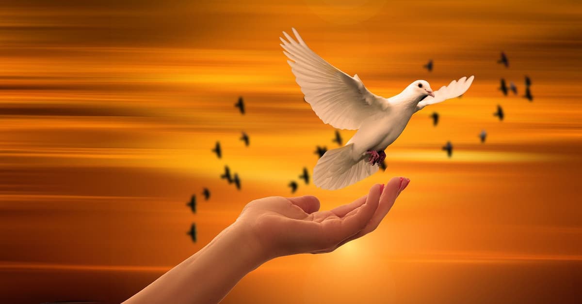 ព្រះអង្គយាងមក ដើម្បីប្រទានសន្តិភាពដល់ប្រជាជាតិទាំងអស់ (សៀវភៅសេចក្ដីពិតសម្រាប់ជីវិត)