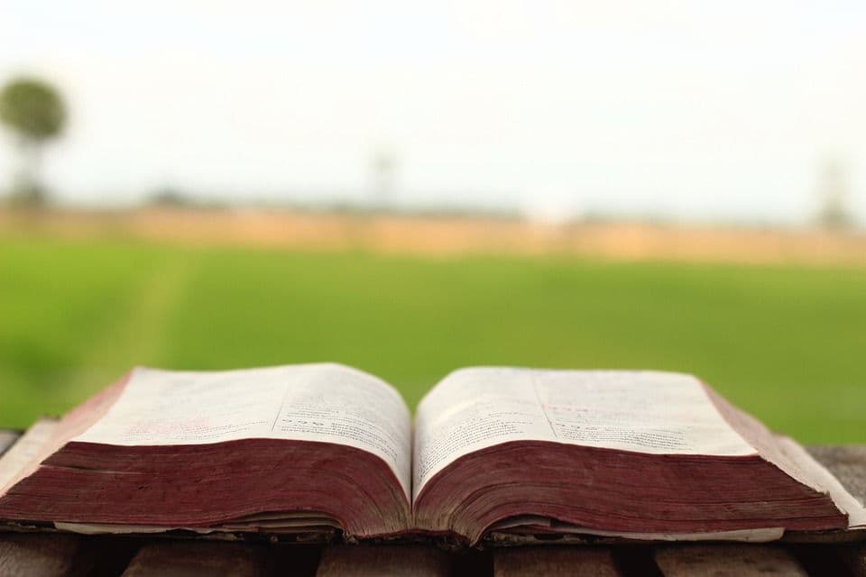 ក្នុងលក្ខណៈជាឯកសារដ៏រស់