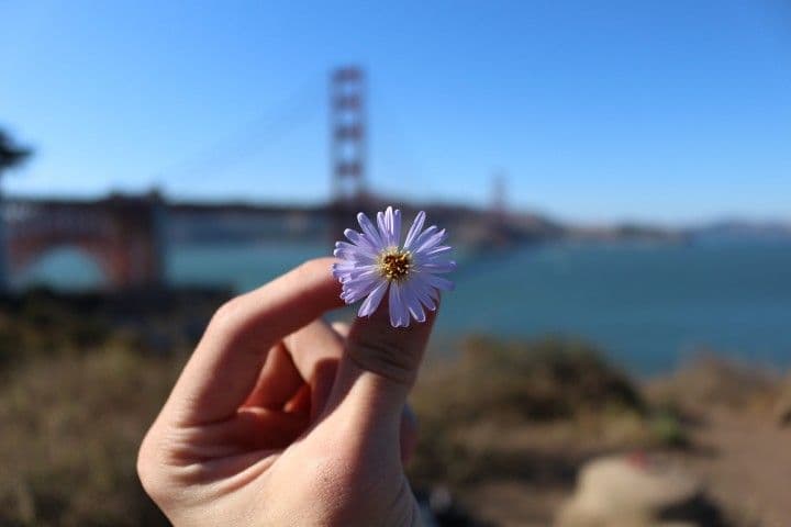 ក្លិនដ៏ក្រអូបនៃព្រះគ្រីស្ទ