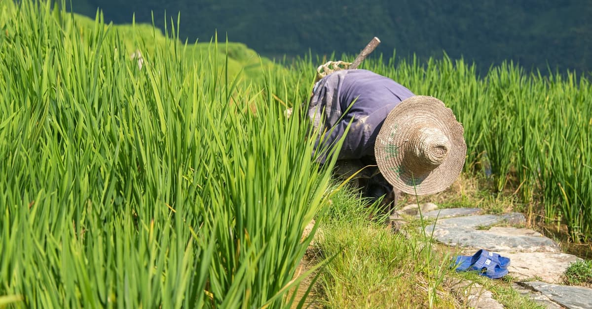 សុចរិតក្នុងការប្រព្រឹត្តិ