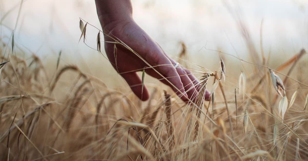 ប្រើព្រះវត្តមានព្រះ ដើម្បីប្រយោជន៍ផ្ទាល់ខ្លួន