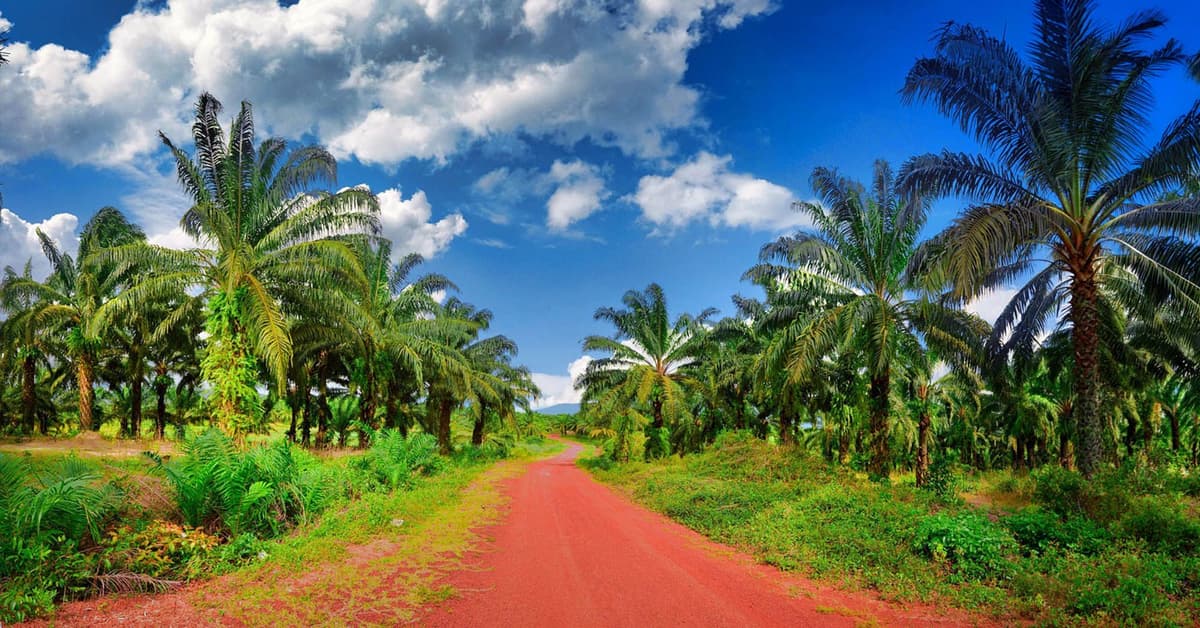 ដើម្បីដំណឹងល្អ