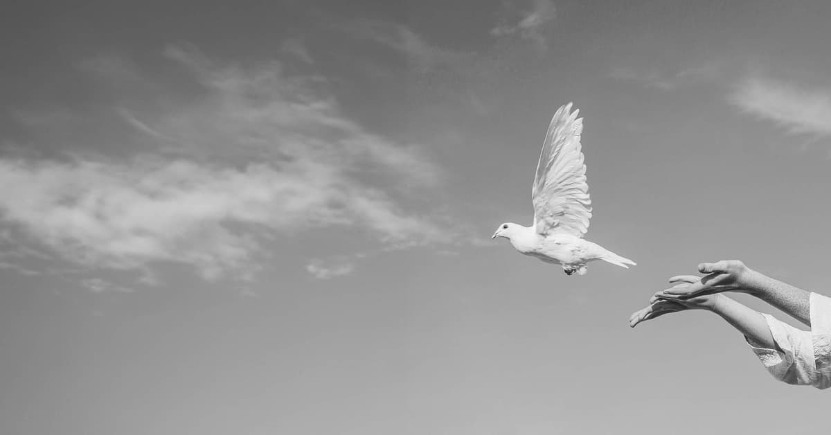 សន្តិភាពក្នុងចិត្តដ៏ជាប់លាប់ (សៀវភៅសេចក្ដីពិតសម្រាប់ជីវិត)