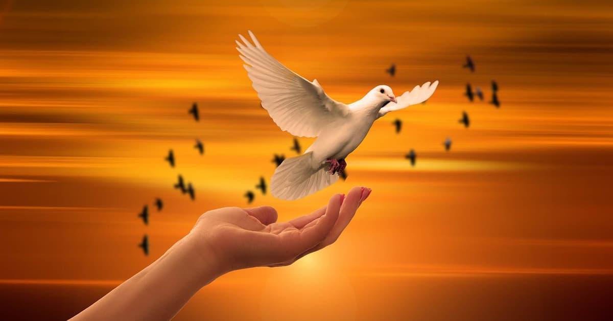 ការថែរក្សាដ៏ស្រទន់របស់ព្រះវរបិតា (សៀវភៅសេចក្ដីពិតសម្រាប់ជីវិត)