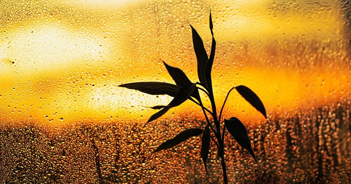 ព្រះចេស្ដាព្រះក្នុងពេលដែលឈឺចាប់