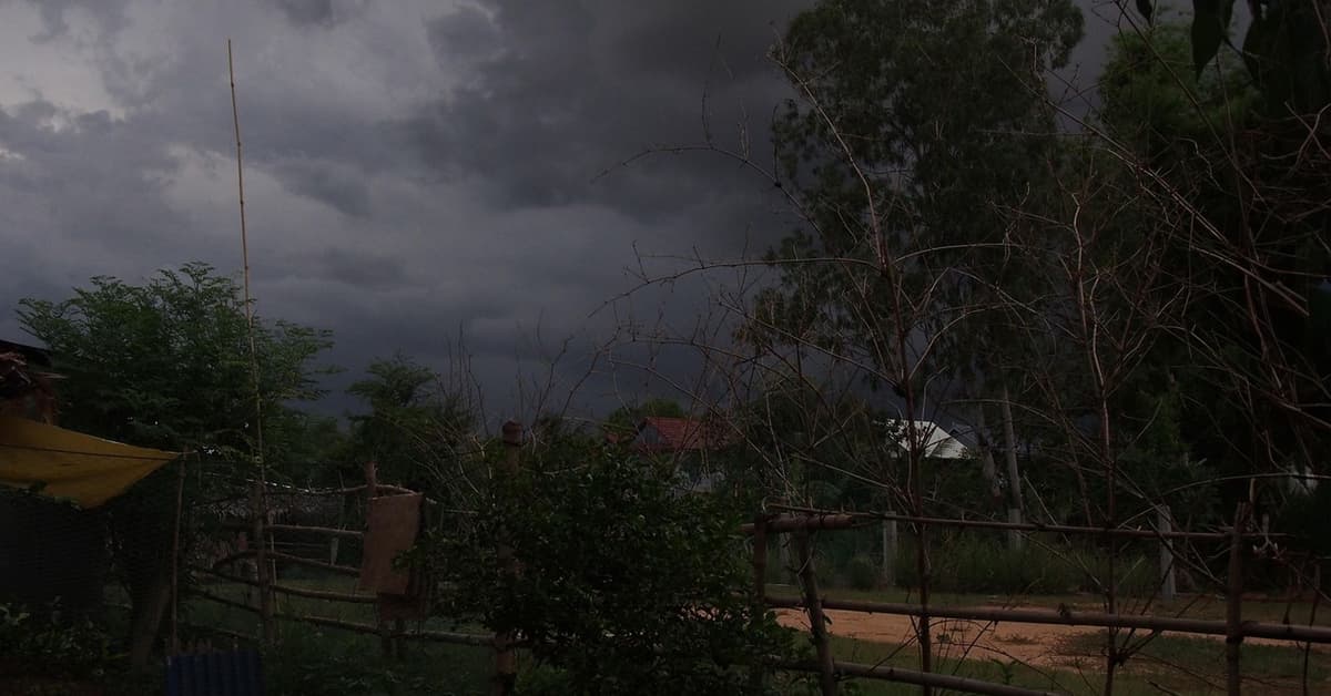 តើខ្ញុំមានតួនាទីអ្វី?