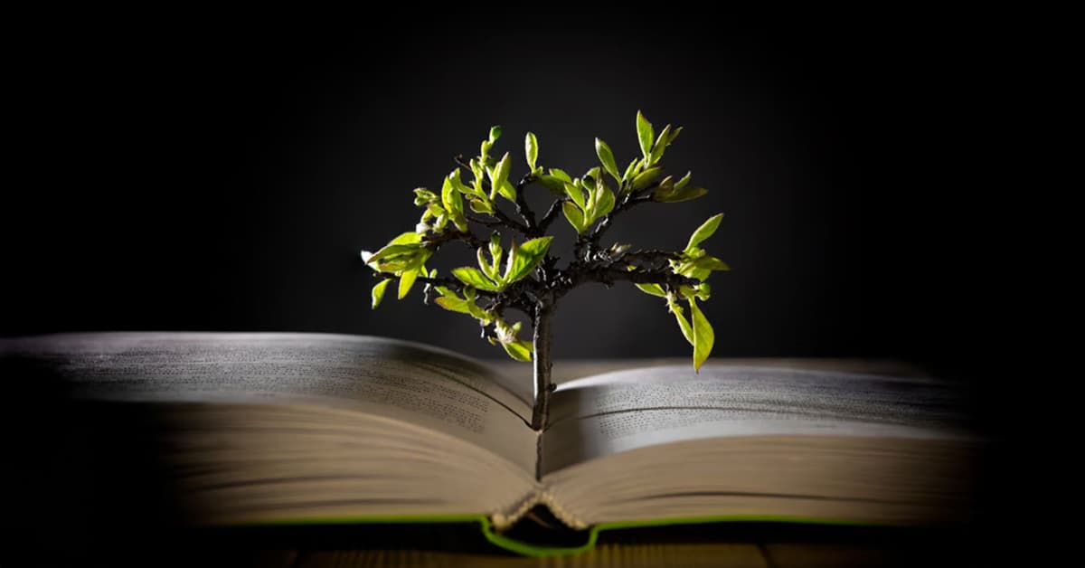 ការអញ្ជើញឲ្យទទួលប្រាជ្ញា