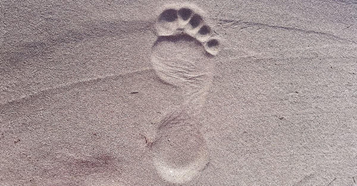 ស្តាប់តាមព្រះអង្គចុះ (សៀវភៅសេចក្ដីពិតសម្រាប់ជីវិត)