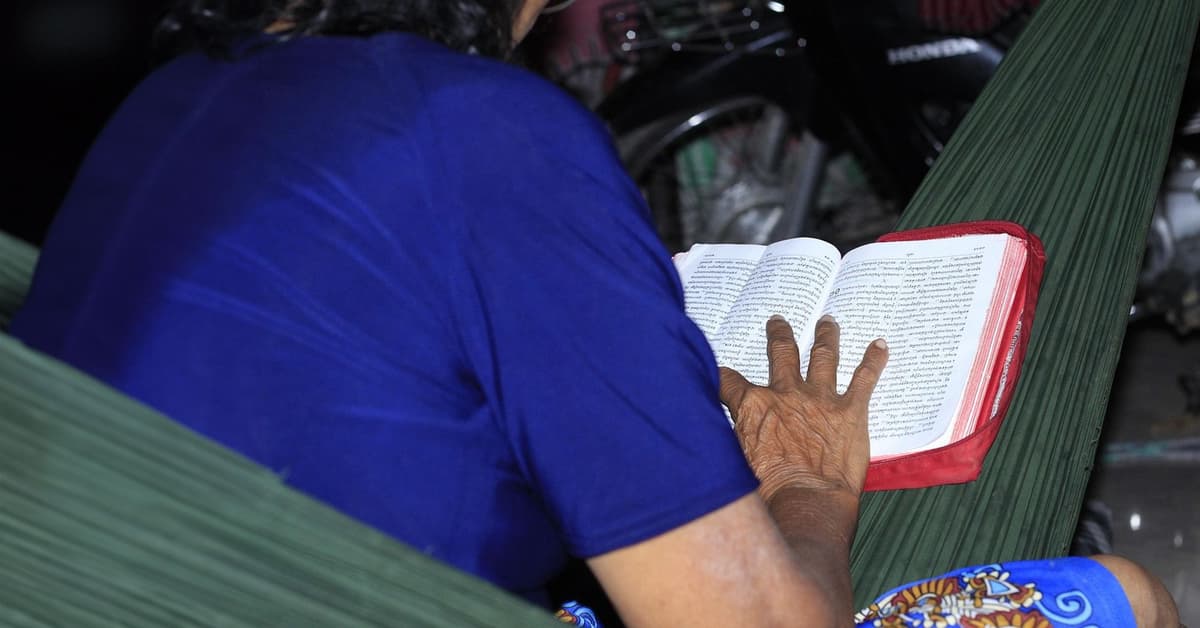 គំនិតយោបល់ និងការកម្សាន្តចិត្តដ៏ជាប់លាប់