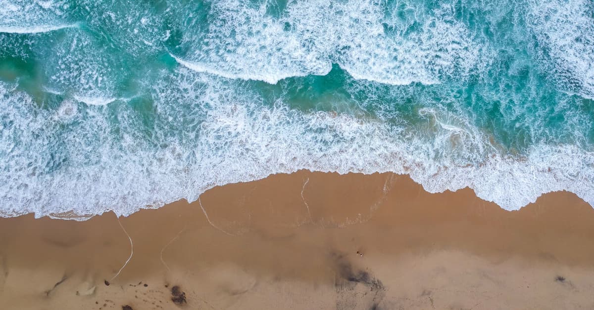 រូបកាយរបស់យើងដែលនឹងរស់ឡើងវិញ