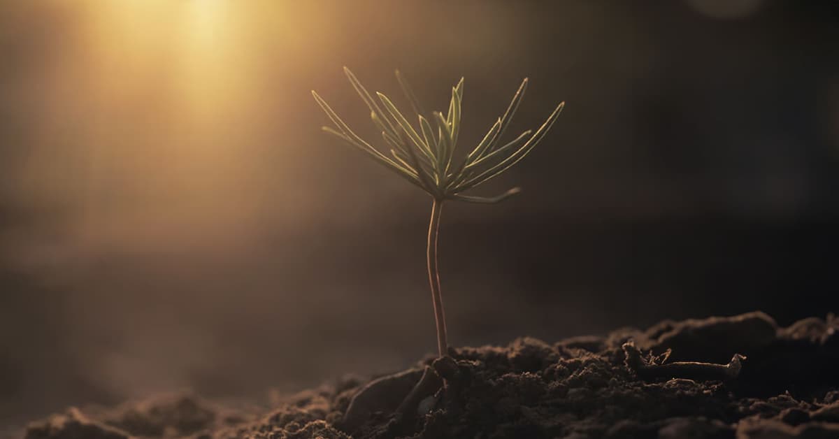 ការកម្សាន្តចិត្តតាមផ្លូវរបស់ព្រះ