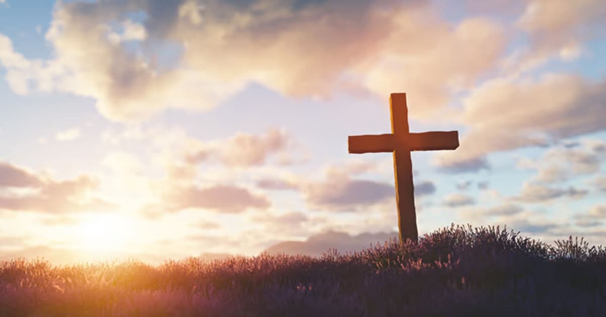 ការមានប្រតិកម្មទីពីរ