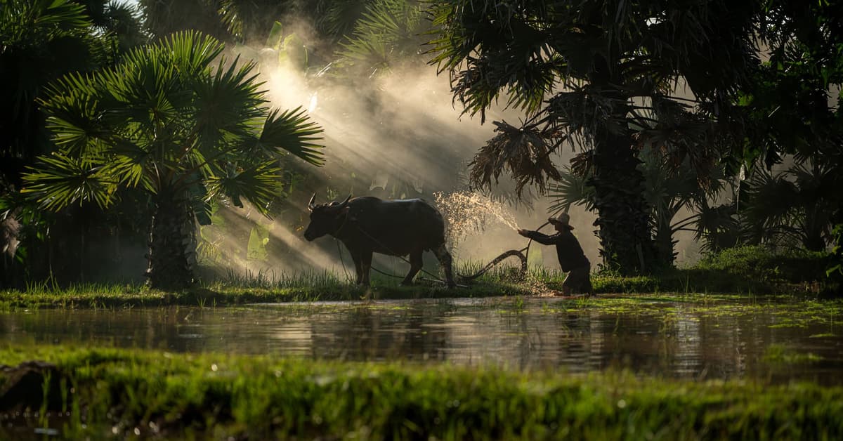 ស្របតាមផែនការរបស់ព្រះ (សៀវភៅសេចក្ដីពិតសម្រាប់ជីវិត)