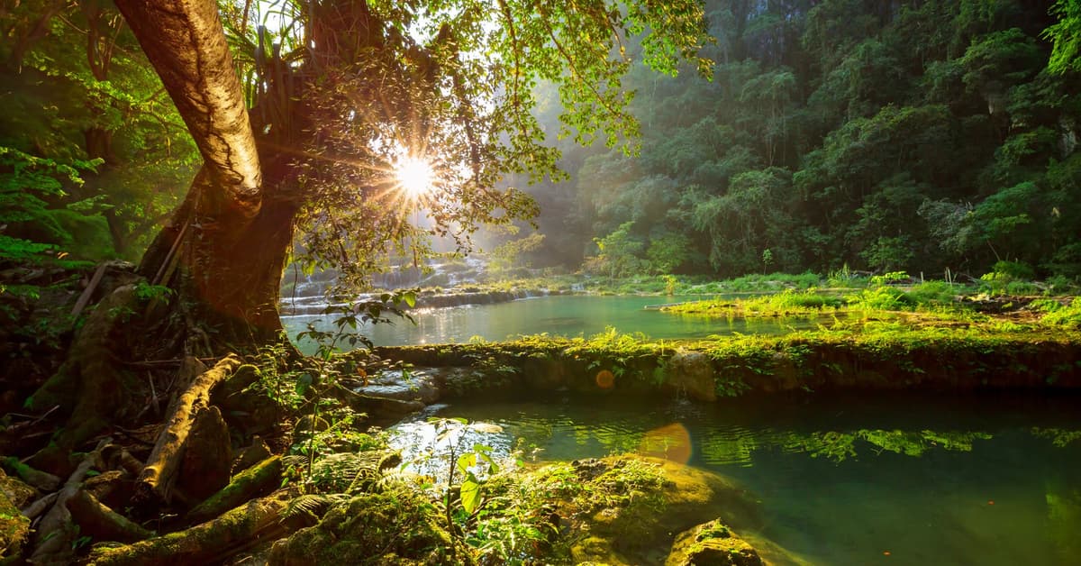 ការរៀបចំដ៏អាថ៌កំបាំងរបស់ព្រះអង្គ (សៀវភៅសេចក្ដីពិតសម្រាប់ជីវិត)