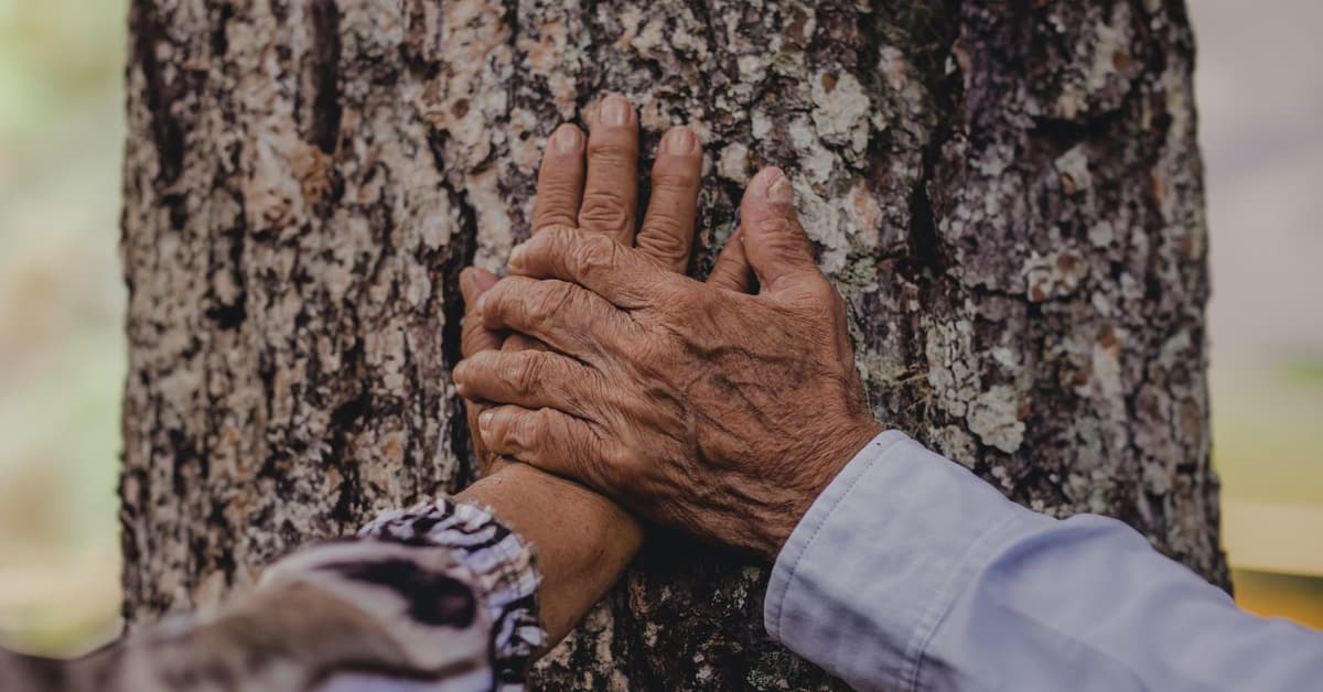 ការតាំងសញ្ញាដែលមានការប្ដេជ្ញាចិត្ត (សៀវភៅសេចក្ដីពិតសម្រាប់ជីវិត)