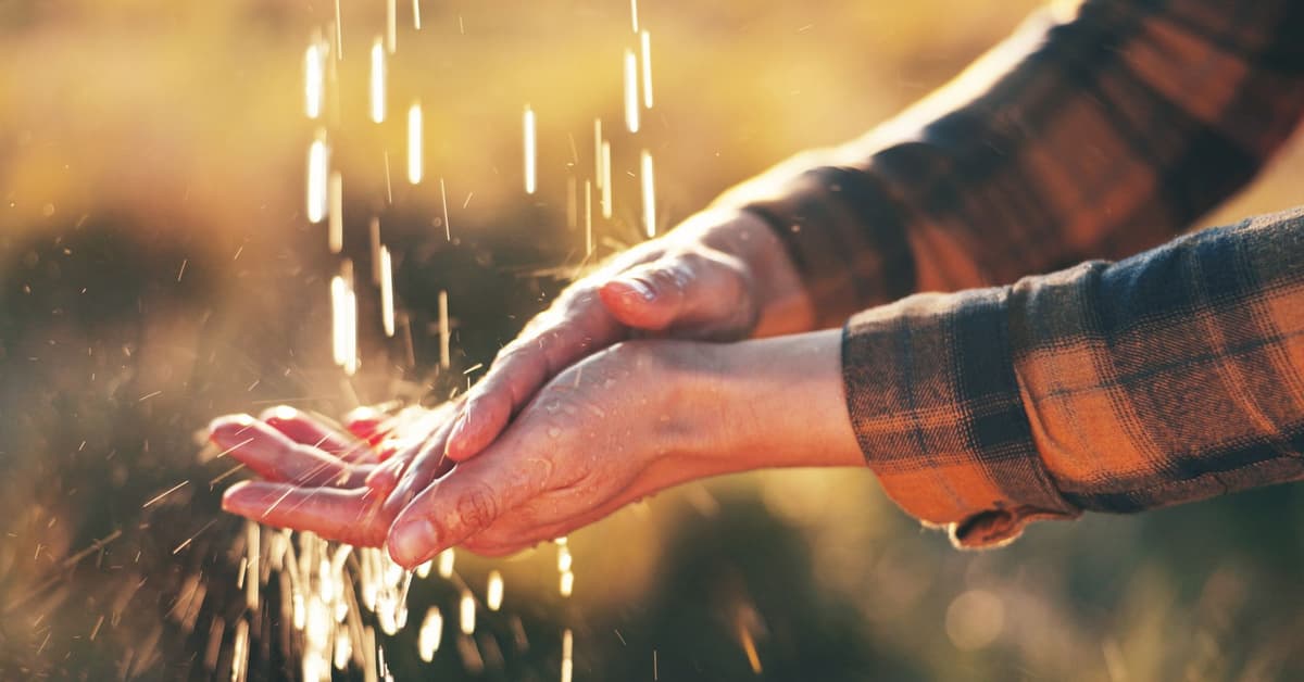 សេចក្តីសុចរិត សេចក្តីសប្បុរស និងការបន្ទាបខ្លួន (សៀវភៅសេចក្តីពិតសម្រាប់ជីវិត)