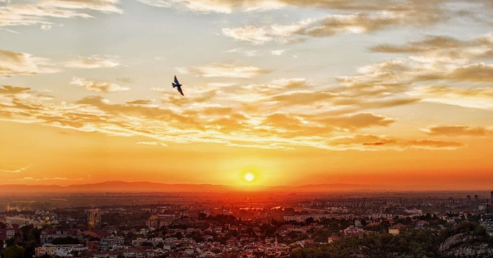 វិធីសាស្រ្តស្វែងរកសន្តិភាព