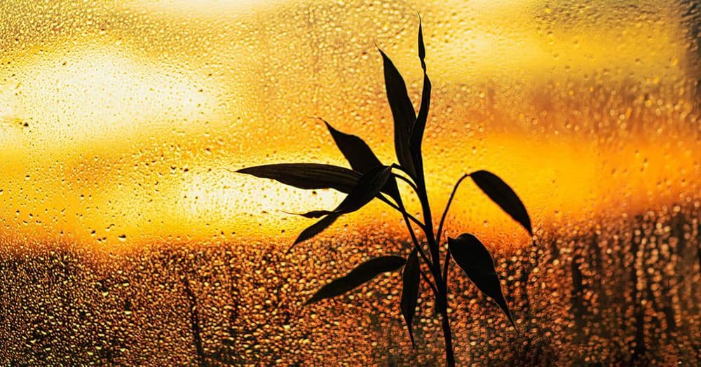 ព្រះចេស្ដាព្រះក្នុងពេលដែលឈឺចាប់