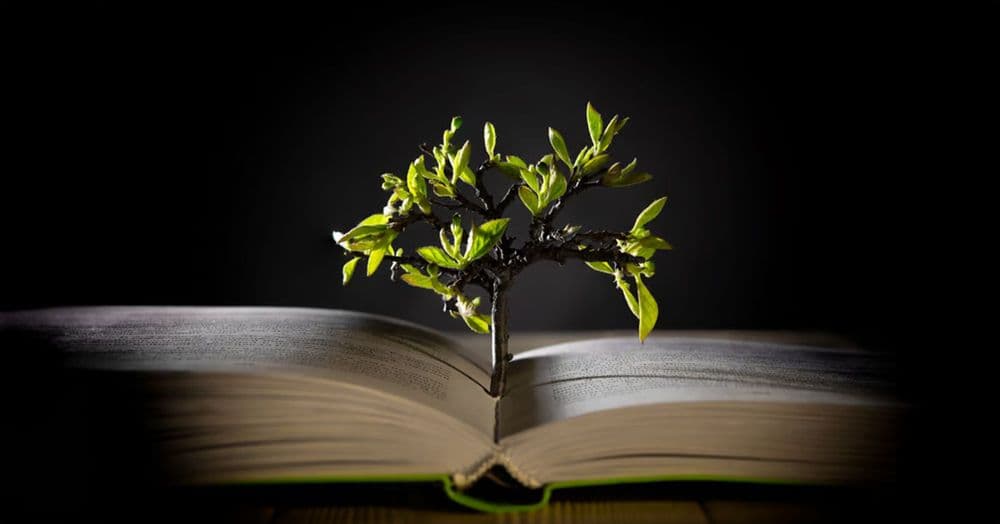 ការអញ្ជើញឲ្យទទួលប្រាជ្ញា