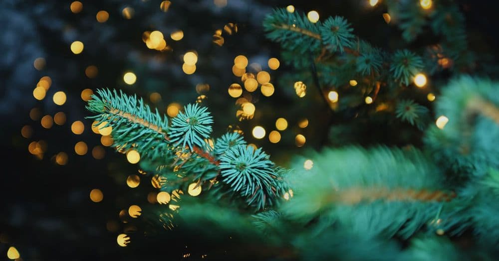 ការសម្រាកដោយអំណរ ក្នុងលោកិយដែលវក់វី