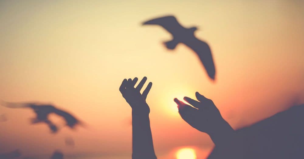 សេរីភាពនៅក្រោមការគ្រប់គ្រងរបស់ព្រះអង្គ