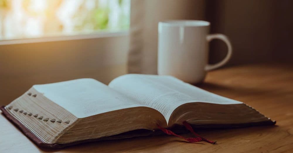 ការងាកទៅរកព្រះគម្ពីរ