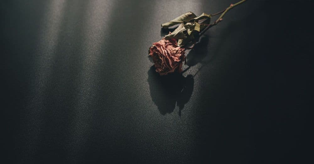 សេចក្តីស្លាប់គឺជាច្រកទ្វារ