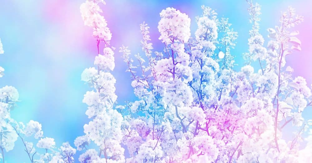 រស់នៅជាមនុស្សដែលបានរស់ឡើងវិញ