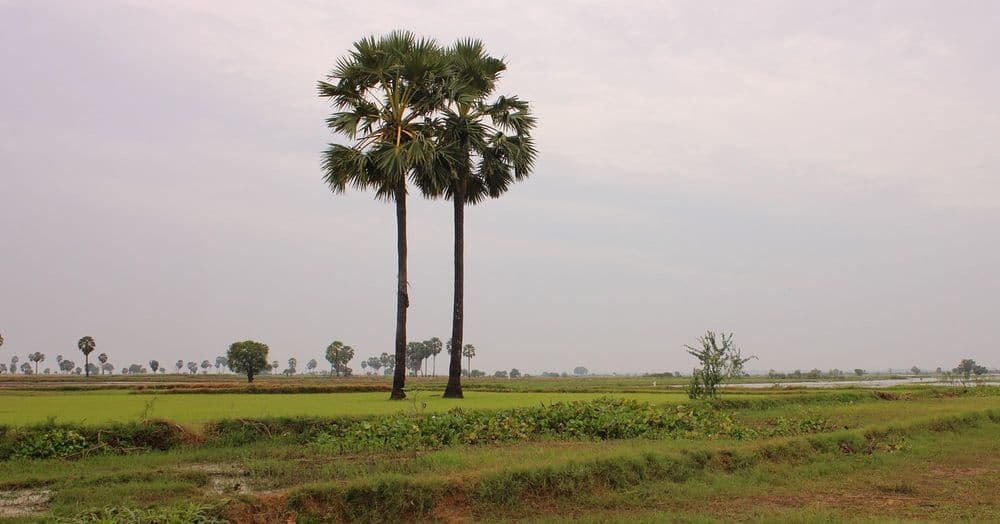 ព្រះទ្រង់កំពុងធ្វើការក្នុងអ្នក