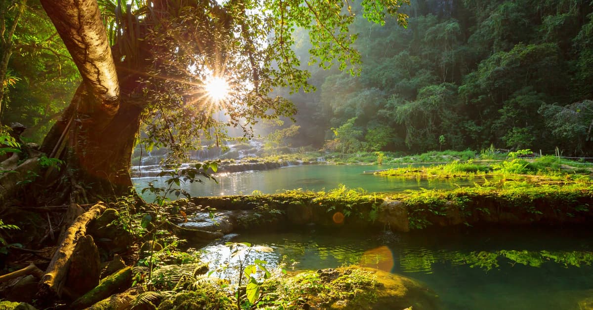 គំនិតបានកែថ្មីឡើង (សៀវភៅសេចក្ដីពិតសម្រាប់ជីវិត)